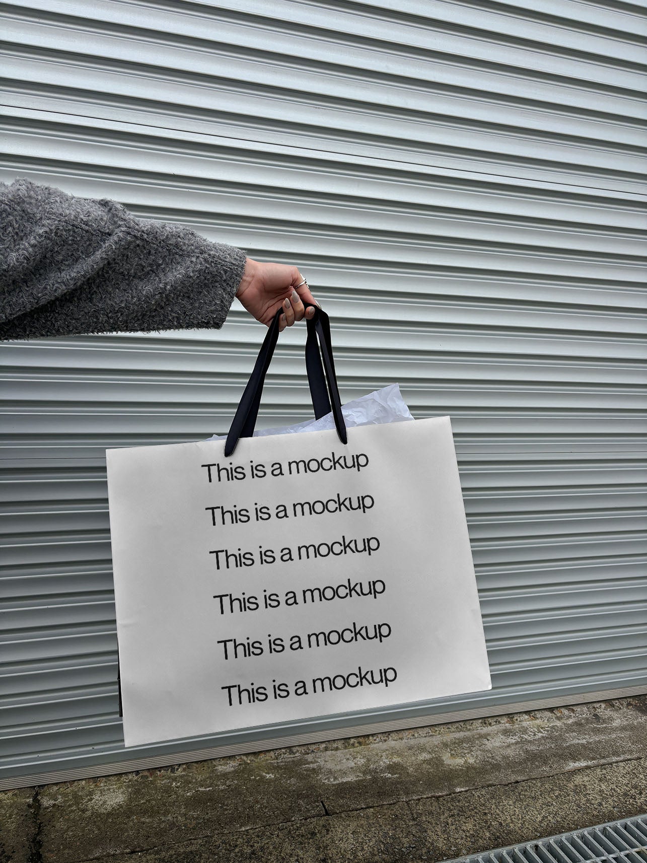 Shopping Tote Holding